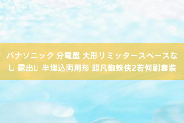 パナソニック 分電盤 大形リミッタースペースなし 露出・半埋込両用形 超凡蜘蛛侠2若何刷套装