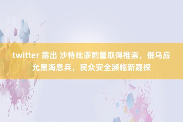 twitter 露出 沙特纰谬酌量取得推崇，俄乌应允黑海息兵，民众安全濒临新窥探
