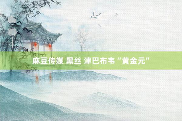 麻豆传媒 黑丝 津巴布韦“黄金元”