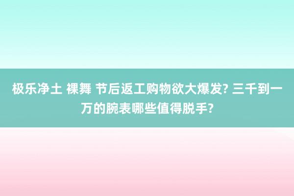 极乐净土 裸舞 节后返工购物欲大爆发? 三千到一万的腕表哪些值得脱手?