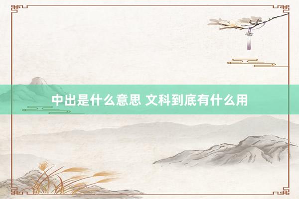 中出是什么意思 文科到底有什么用