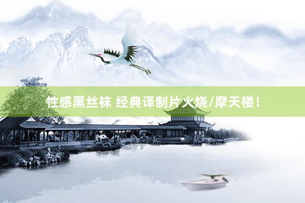 性感黑丝袜 经典译制片火烧/摩天楼！