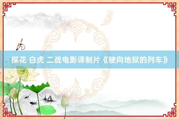 探花 白虎 二战电影译制片《驶向地狱的列车》