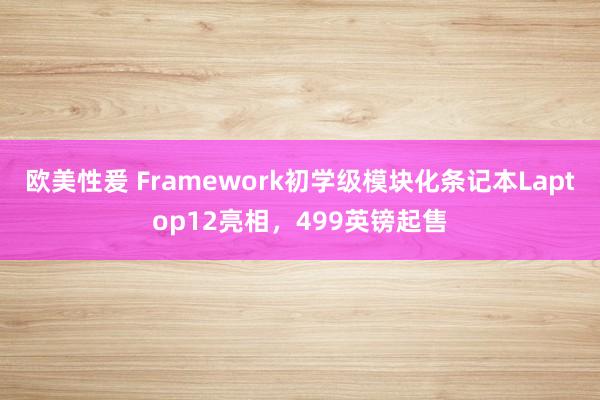 欧美性爰 Framework初学级模块化条记本Laptop12亮相，499英镑起售