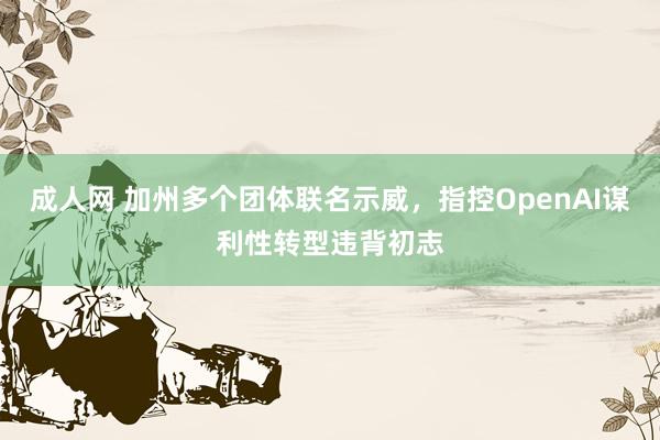 成人网 加州多个团体联名示威，指控OpenAI谋利性转型违背初志